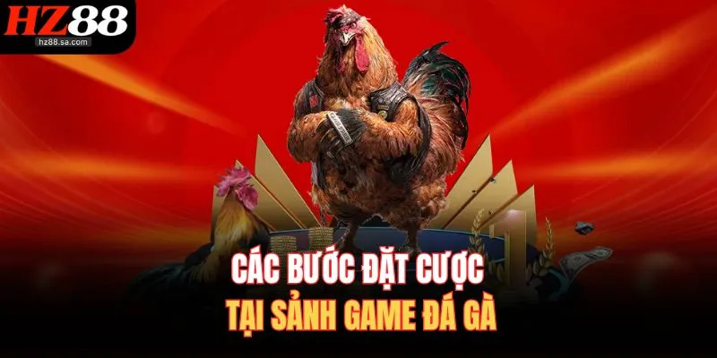 Đá Gà HZ88 4 Các bước đặt cược tại sảnh game đá gà