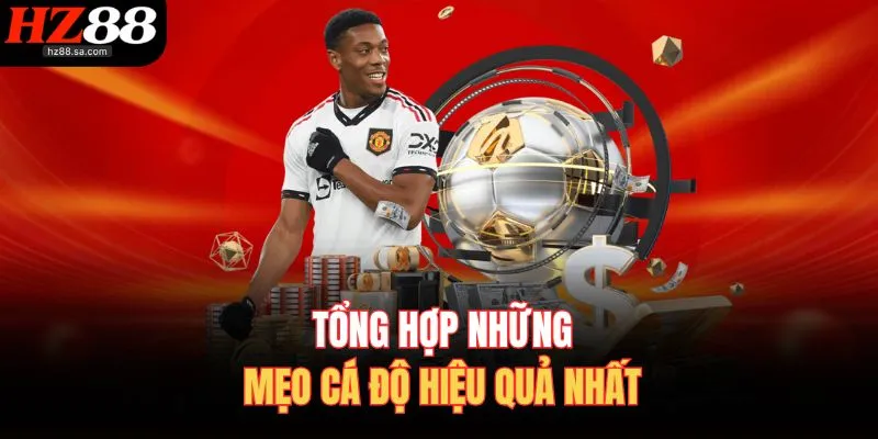 Thể Thao HZ88 4 Tổng hợp những mẹo cá độ hiệu quả nhất